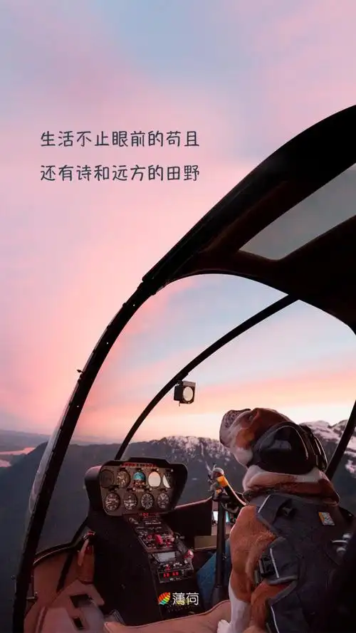 生活不止眼前的苟且