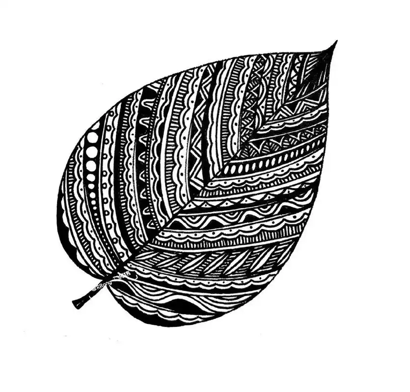 线描树叶 1-4 黑白装饰树叶 线描画 树叶线描 原创线描小画  树叶 1-4