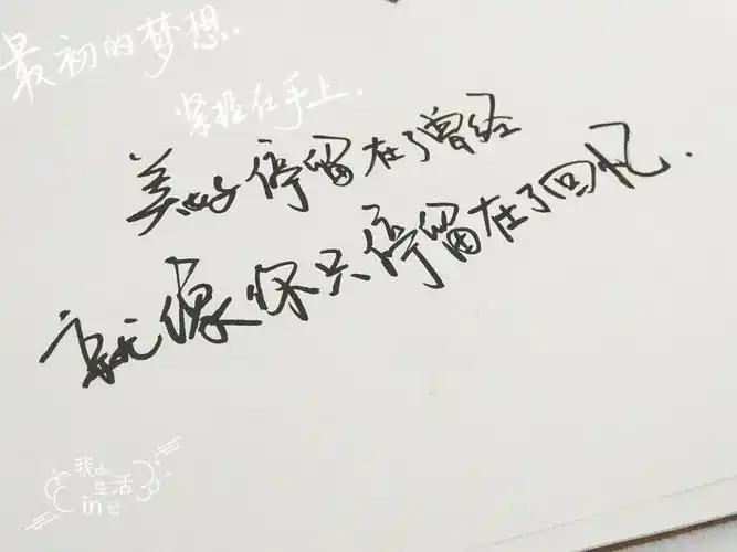 精美句子摘抄短句10字(阳光简短励志唯美句子)