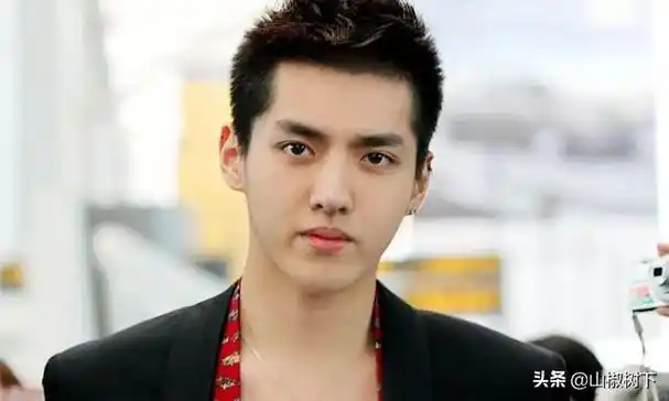 为什么吴亦凡要坐牢,罗志祥却不用? - 石塘网