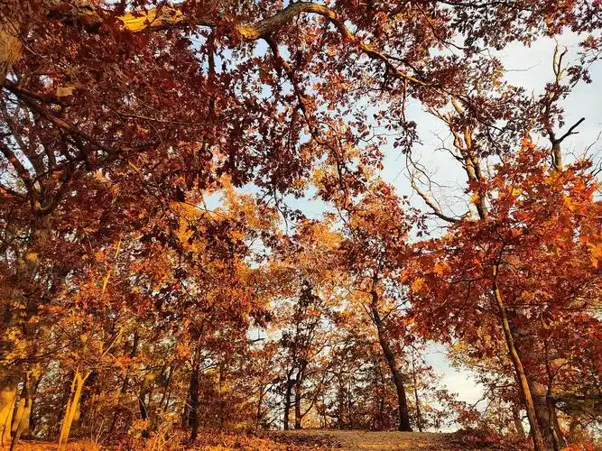 想看看大家关于秋天的照片