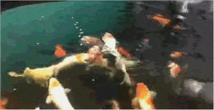 442_228gif 动态图 动图