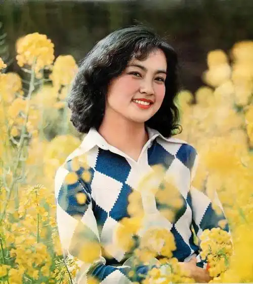 刘晓庆现任丈夫简历(刘晓庆丈夫王晓玉)4