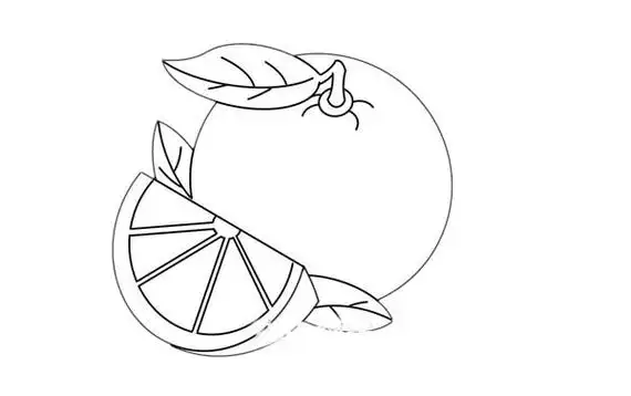 橙子怎么画简单又好看图片 橙子简笔画步骤图解教程