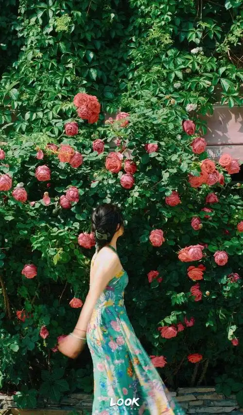 北京最浪漫的花海5个免费打卡地