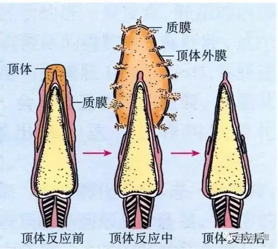 吸烟危害"小蝌蚪"的那些事