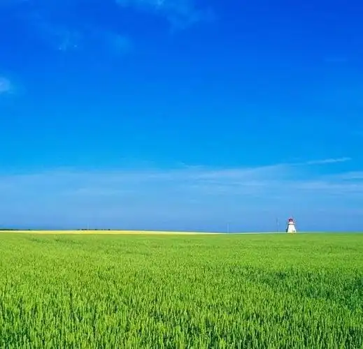 头像|流水生财的吉利富贵微信头像