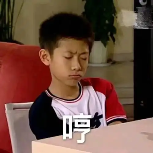 哼 生气了(《家有儿女》刘星)