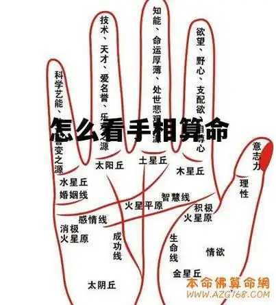 免费测试两人姻缘_怎么看手相算命