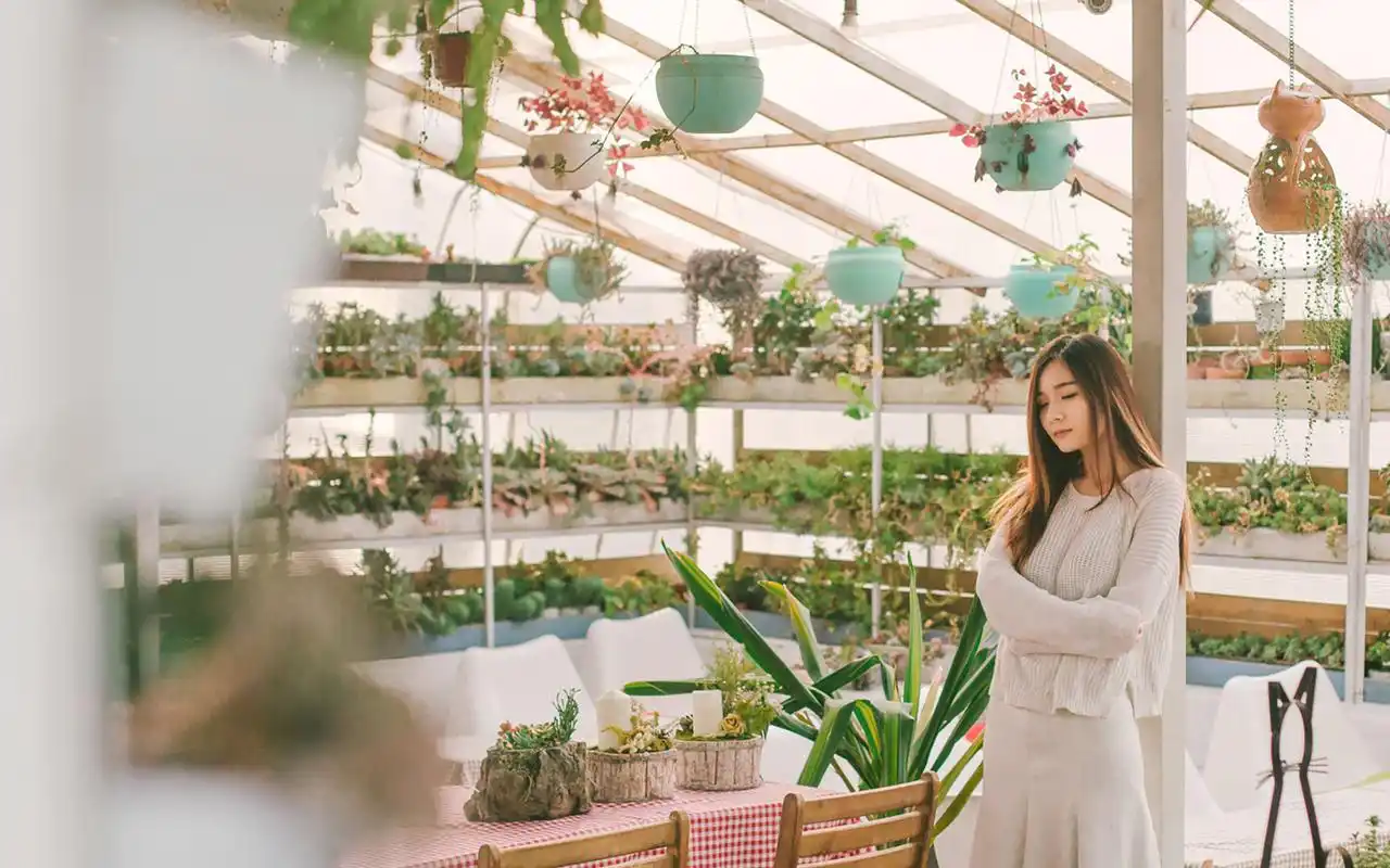 小清新森系美女高清桌面壁纸