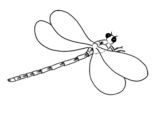 逼真的蜻蜓简笔画画法
