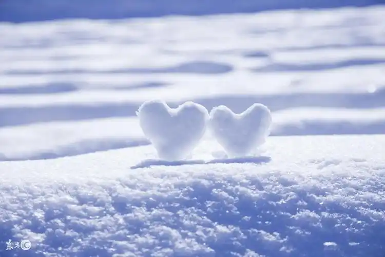 千纸鹤伤感唯美的句子1