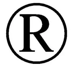 注册商标符号(注册商标符号怎么输入)_竞价网