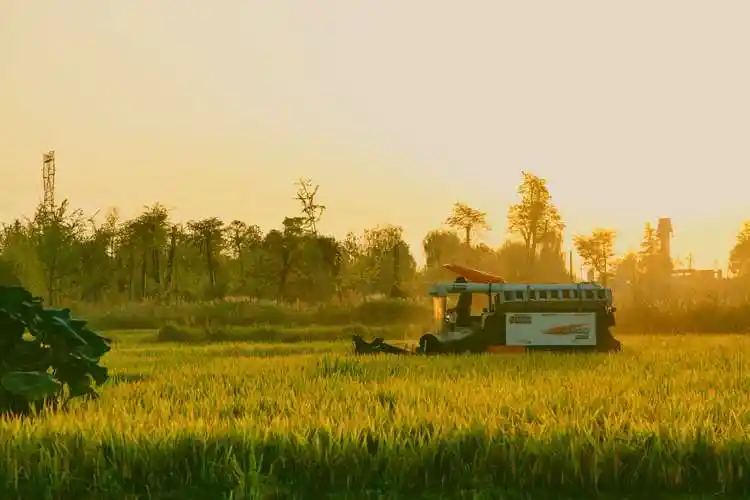 去秋天的田野里定格美好