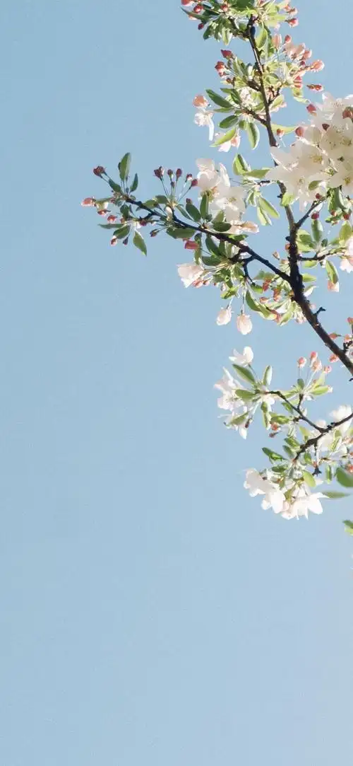 夏天到了有没有看起来很清爽干净的高清壁纸