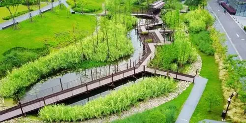 雨水花园是"海绵城市"的主力军,被用于汇聚,吸收来自屋顶或地面的雨水