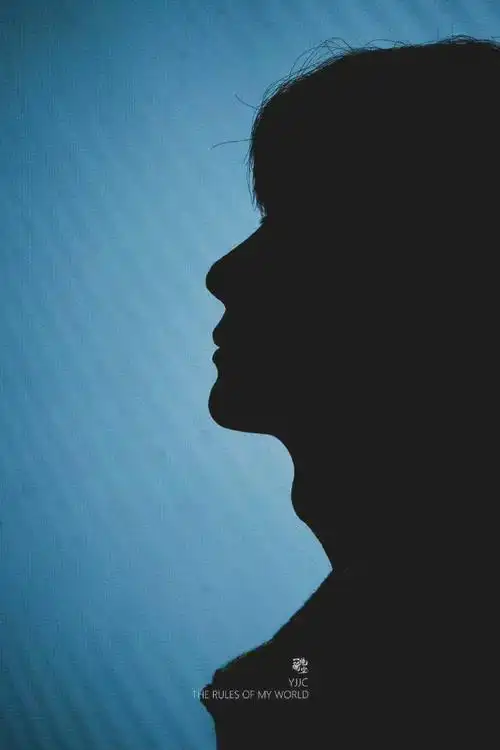 由真维斯剪影图想到"王一博剪影照"合集  p18严格说来不算剪影,但我真