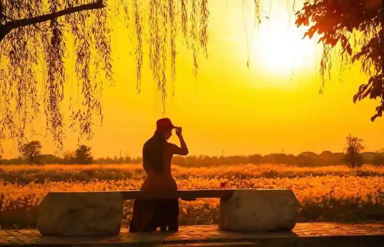 五十多岁的女性拍背影照太单调6个技巧背影照也能优雅美丽