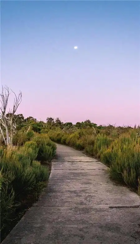 2021最新好看风景手机壁纸唯美意境壁纸皮肤高清图片