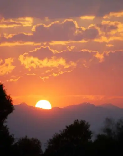 歌曲《浪漫夕阳》