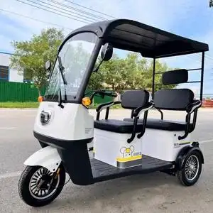 赵奕函淘宝凤凰电动三轮车家用小型带棚接送孩子中老年小巴士三轮车