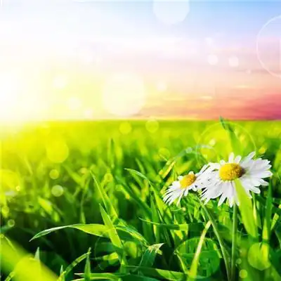 备案公司注册资本:0万人民币实缴资本:成立时间:2020-11-27注册地址