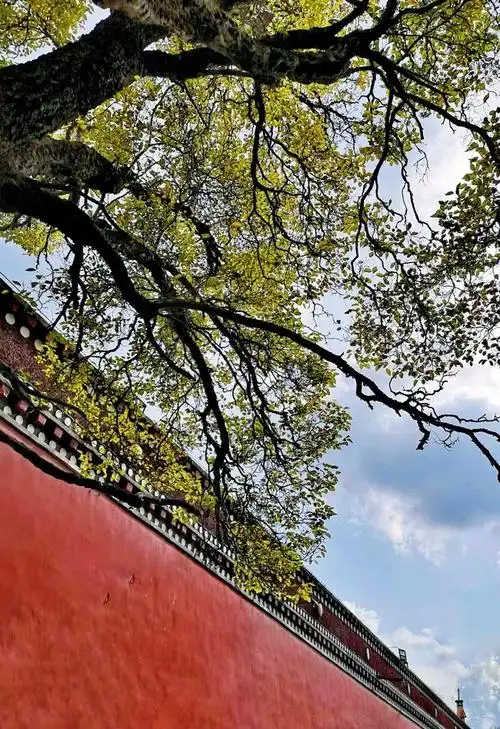 其它 塔尔寺,藏传佛教圣地 写美篇菩提本无树, 明镜亦非台, 本来无疑