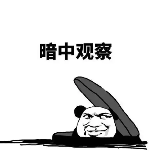 互相暗中观察gif动漫gif二次元gif