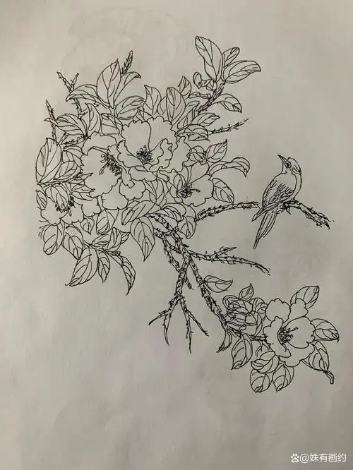 一组白描花卉钢笔临摹