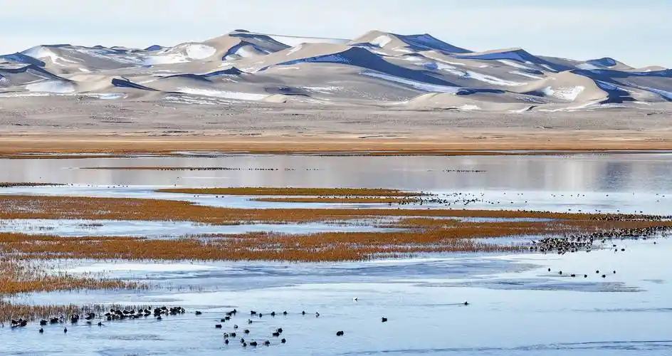 (环境)秋访阿尔金山:古朴壮美 生机勃勃_新华社_自然保护区_李响