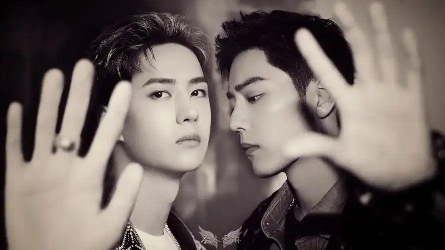 肖战王一博 - 堆糖,美图壁纸兴趣社区