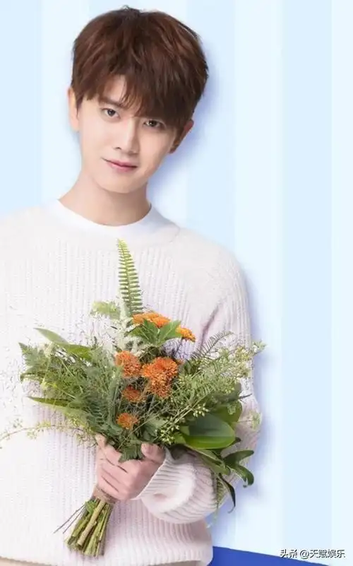 任嘉伦个人简介资料(影视男演员,歌手——任嘉伦)