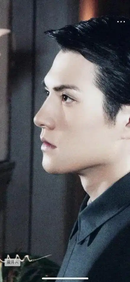严宽年轻时候的颜值真的像是言情小说的男主角.