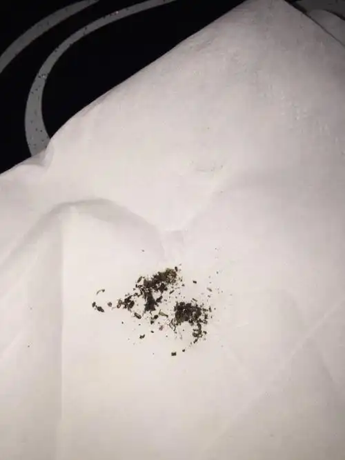 360卫士官方2017最新版v