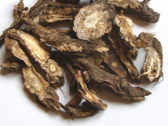 草本中药前胡的流源考辩