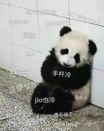 萌宠gif猫星人gif寒冷gifjio冷gif呆萌gif可爱gif