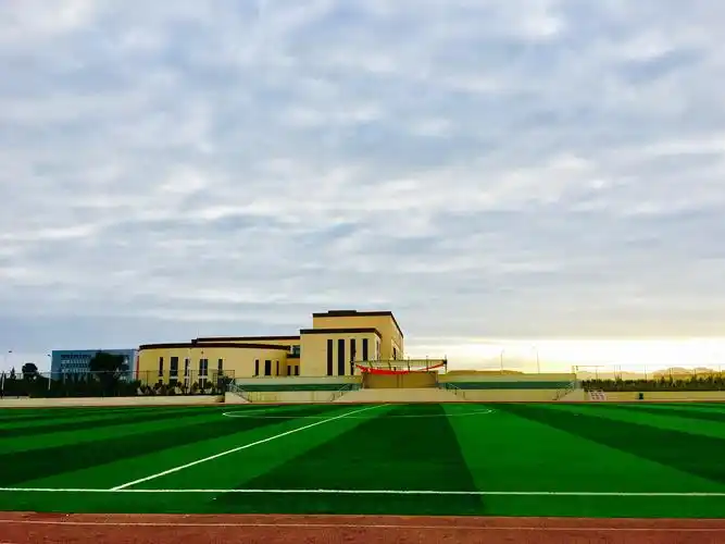 新疆财大商务学院