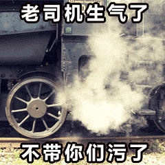 听说你们都出门旅游了那这波开车表情包就不得不收