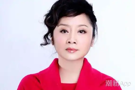 秦海璐老公王新军前妻是谁 首谈婚姻破裂真实原因