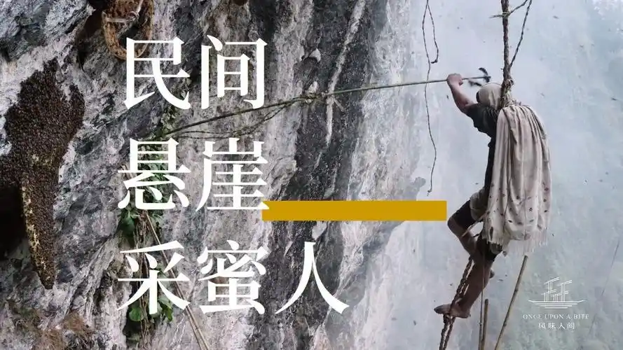 九爷影视放映厅