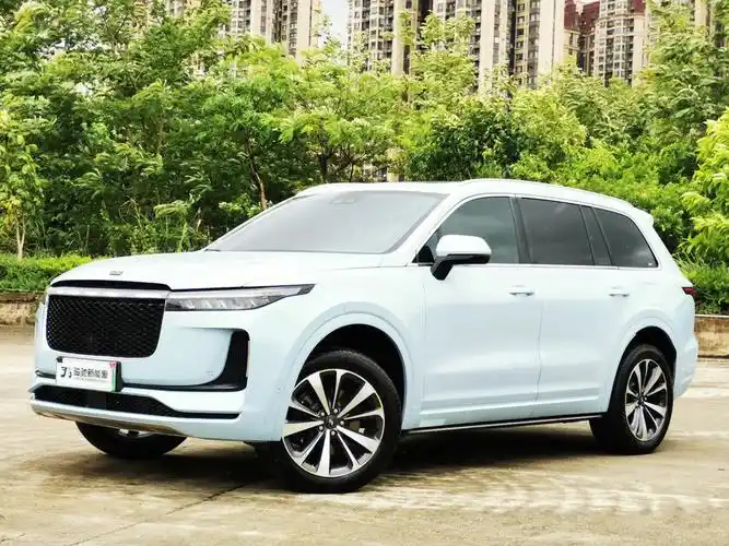 理想one简直是最便宜的价格买又大又豪华