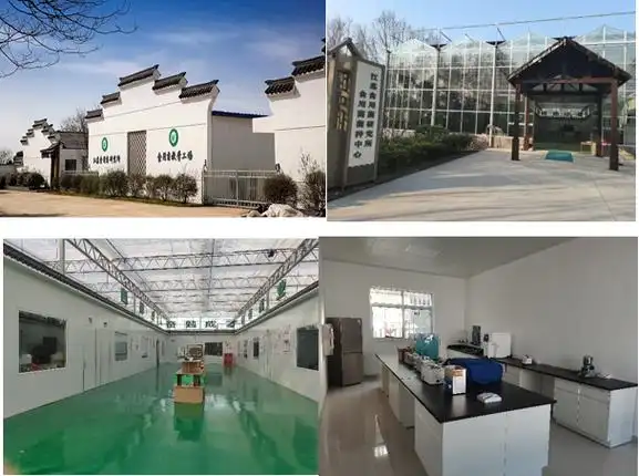 江苏食用菌研究所简介