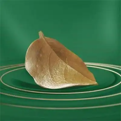 适合永久做头像的唯美图片让人一看就舒心的微信头像