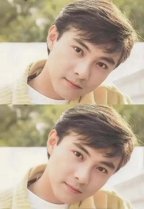 如何评价张卫健年轻时候的颜值和演技? - 知乎