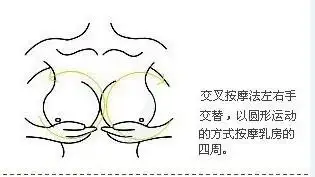 丰胸精油的正确使用方法