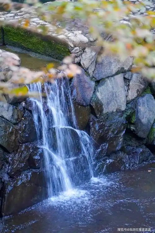 温州泰顺的"浙南小九寨",人少景美还没有门票,水景让人惊艳_城市_冬日