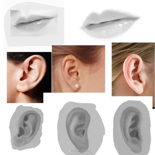 嘴巴和耳朵—人物头部五官结构练习