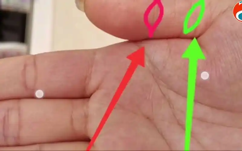 手相中凤眼纹(孔子眼)与佛眼纹有什么区别?