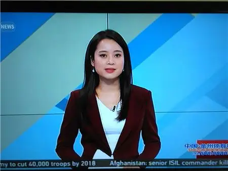 求我大爱的女主播的详细情况,cctv news财经类女主