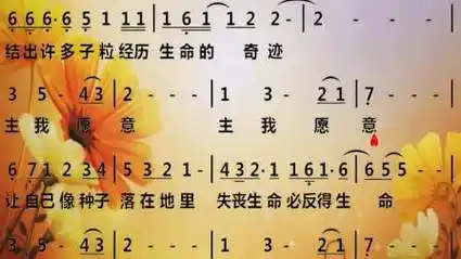 一粒麦子简谱_一粒麦子简谱带和弦